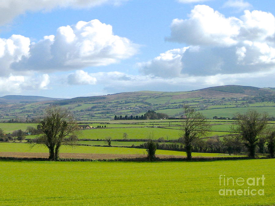 Irish Spring Photograph by Suzanne Oesterling