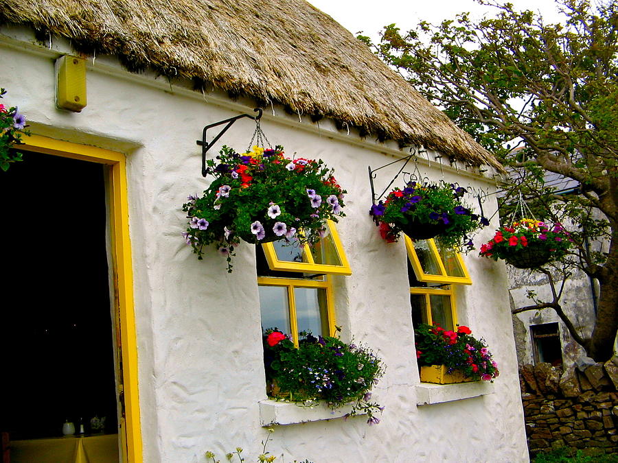 Irish Window Boxes Photograph by Denise Mazzocco