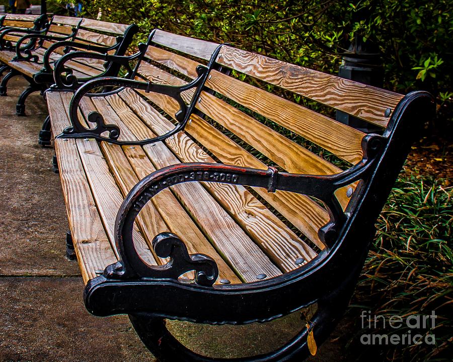 Iron Bench Photograph by Perry Webster