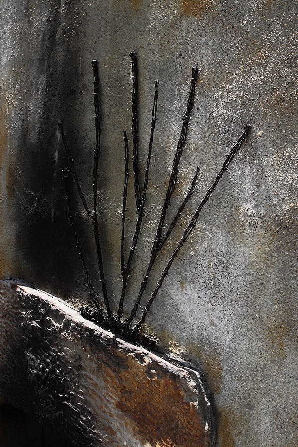 Iron Brush And Wall Photograph by Viktor Savchenko