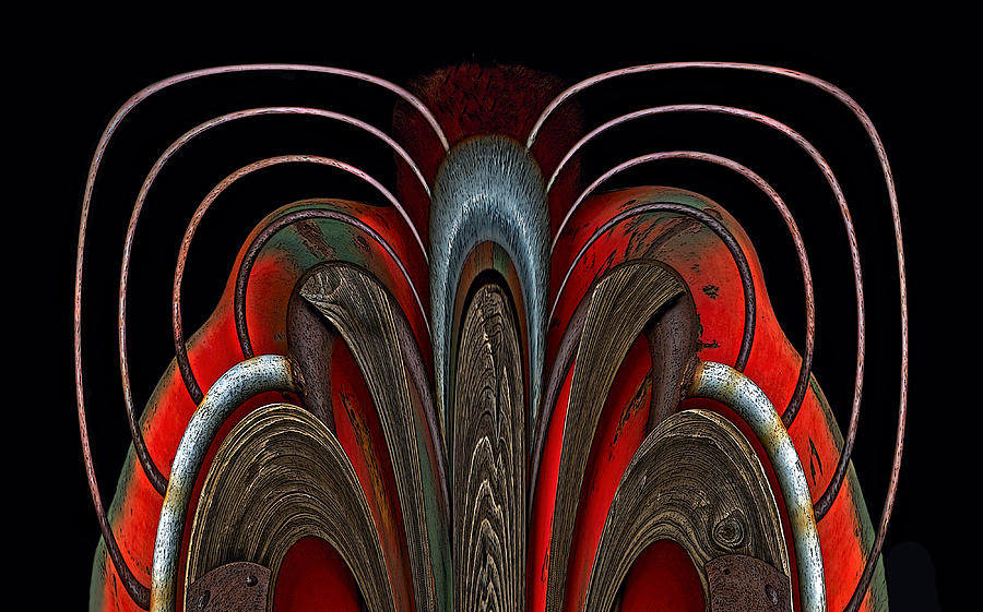 Abstract Photograph - Iron Butterfly by Murray Bloom