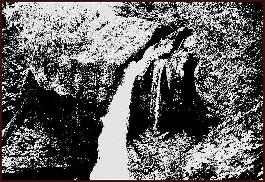 Iron Creek Falls BW Photograph by Rich Collins