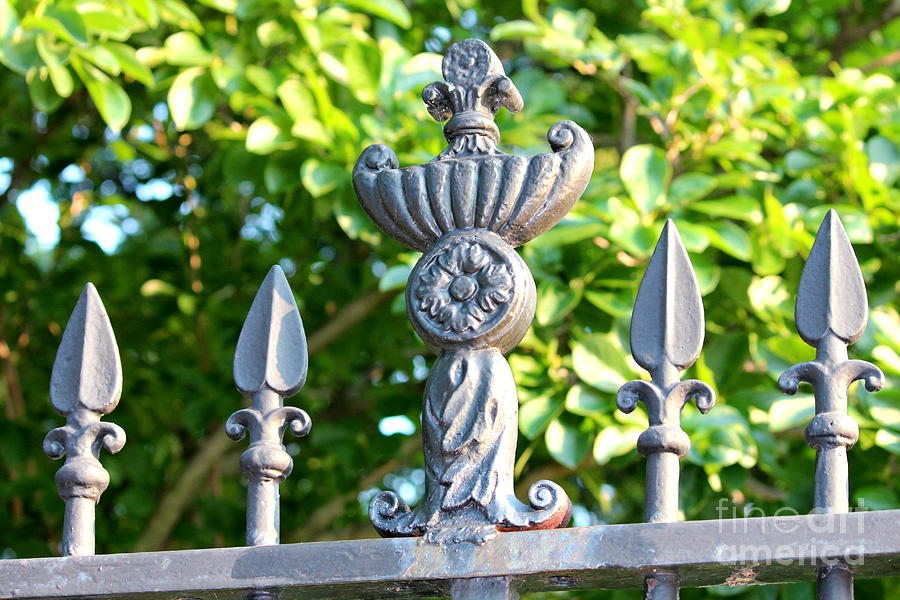 Iron Fence Photograph by Cynthia Snyder