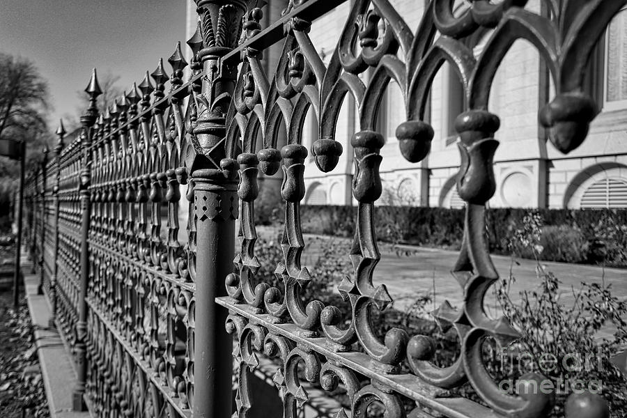 Iron Fence Detail Photograph by Kate Purdy
