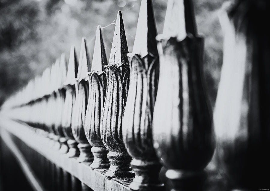 Iron Fence Photograph by Ryan Wyckoff