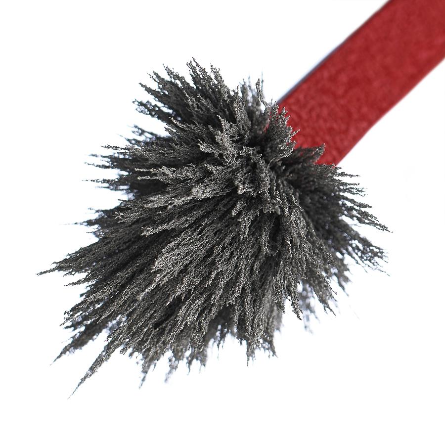 Iron Filings On A Magnet Photograph by Science Photo Library