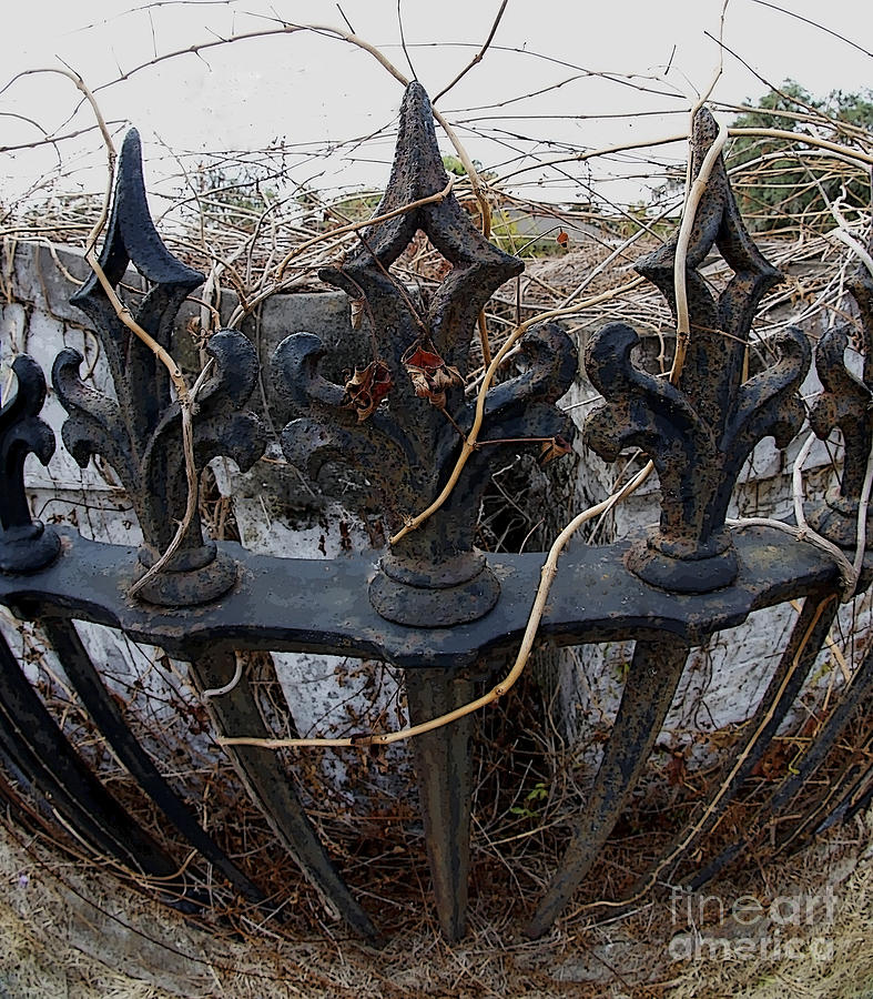Iron Fleur De Lis in Graveyard Photograph by Luana K Perez