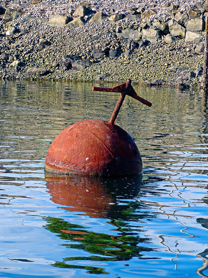 Iron Float Photograph by Robert Meyers-Lussier