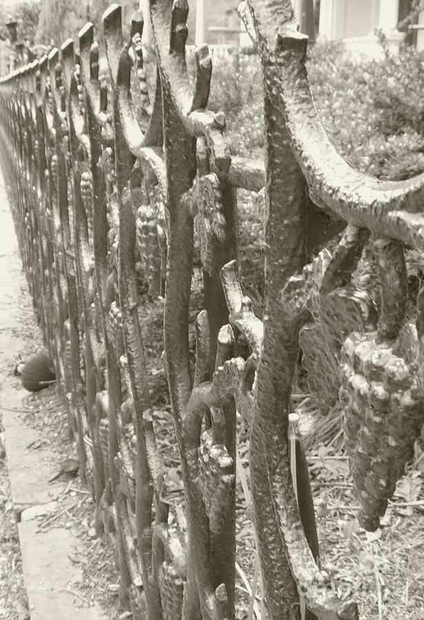 Iron Gate -  Black and Whites Photograph by Susan Carella
