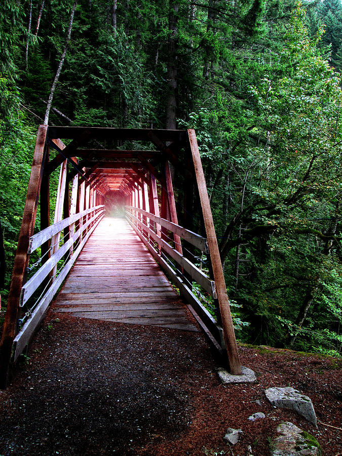 Iron Goat Trail - Wood Bridge Over Creek Photograph
