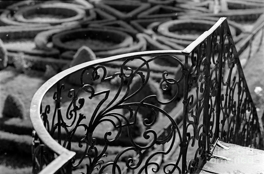 Iron Handrail Photograph by Riccardo Mottola