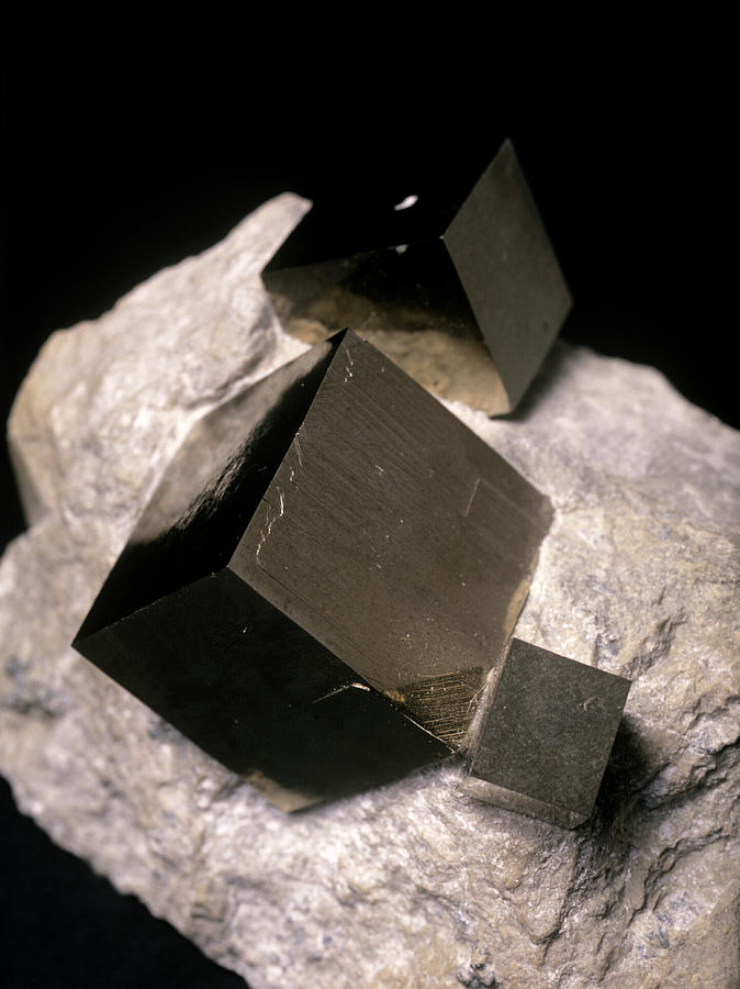 Iron Pyrite Photograph by Martin Land/science Photo Library
