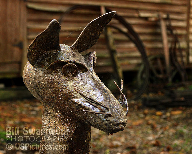 Iron Rat At Furnace Town Photograph by Bill Swartwout
