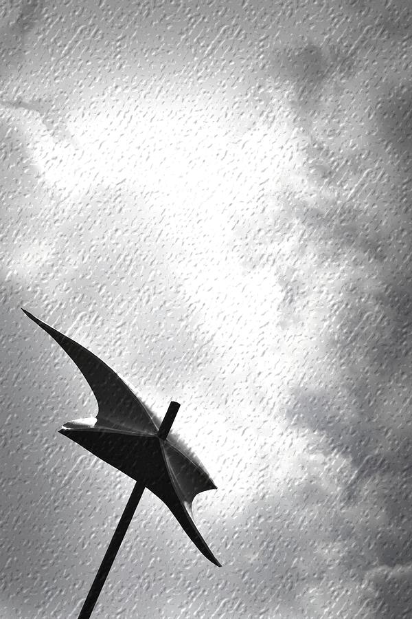 Iron Umbrella Photograph by Nadalyn Larsen
