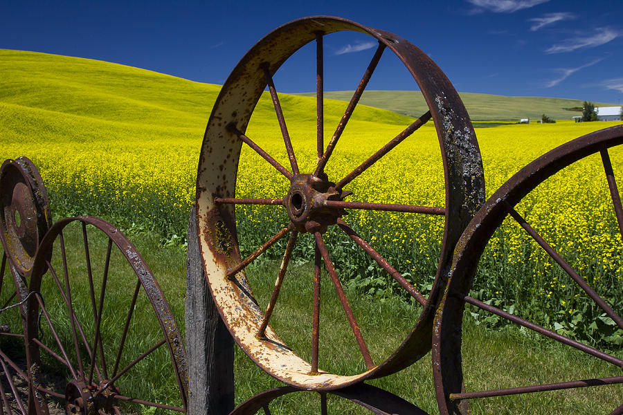 Iron Wheels keep on rolling Photograph by Herbert Fine Art America