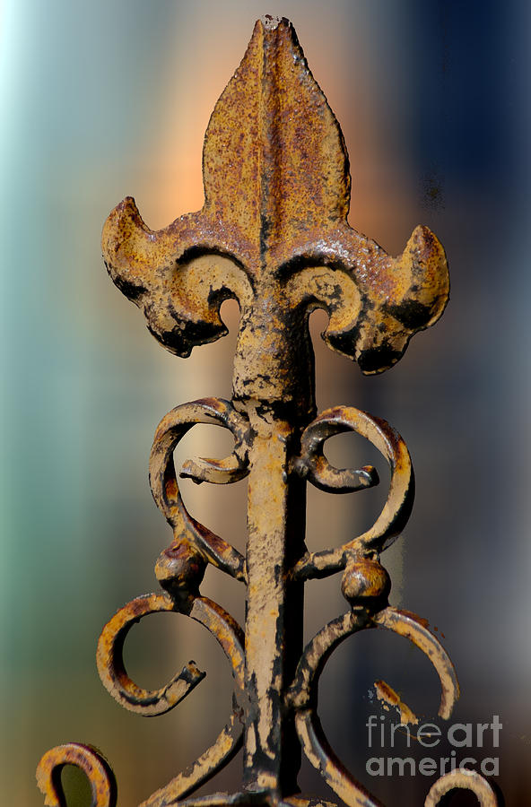 Iron Work Art Photograph by Dennis Tyler Fine Art America