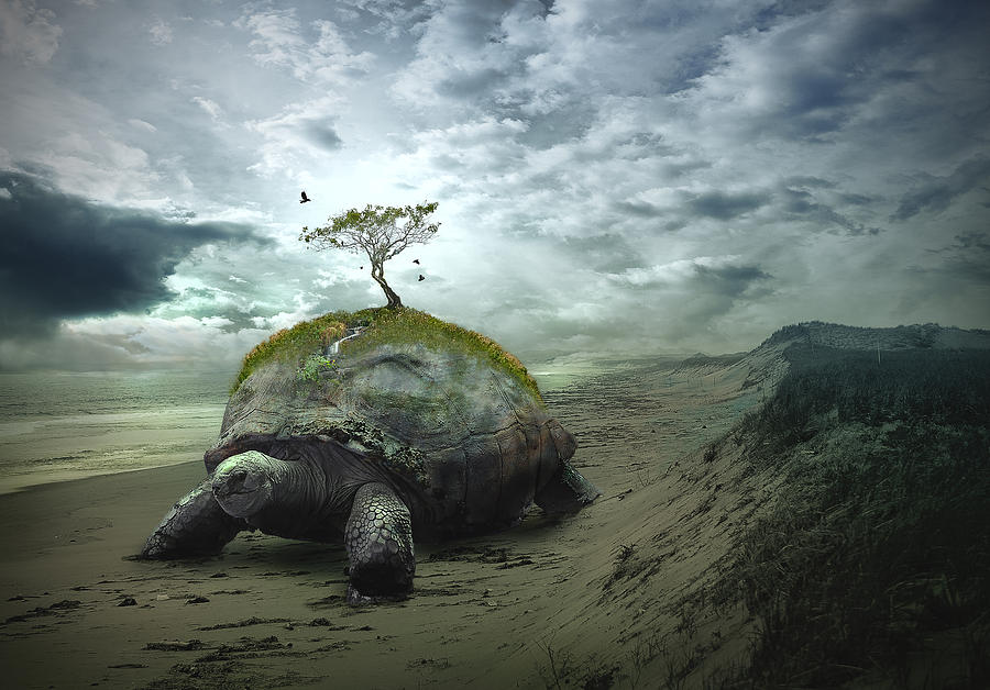 Turtle Digital Art - Iroquois Creation Story by Rick Mosher