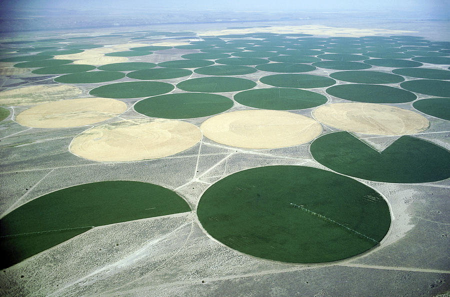 Irrigation Circles Photograph by Earl Roberge