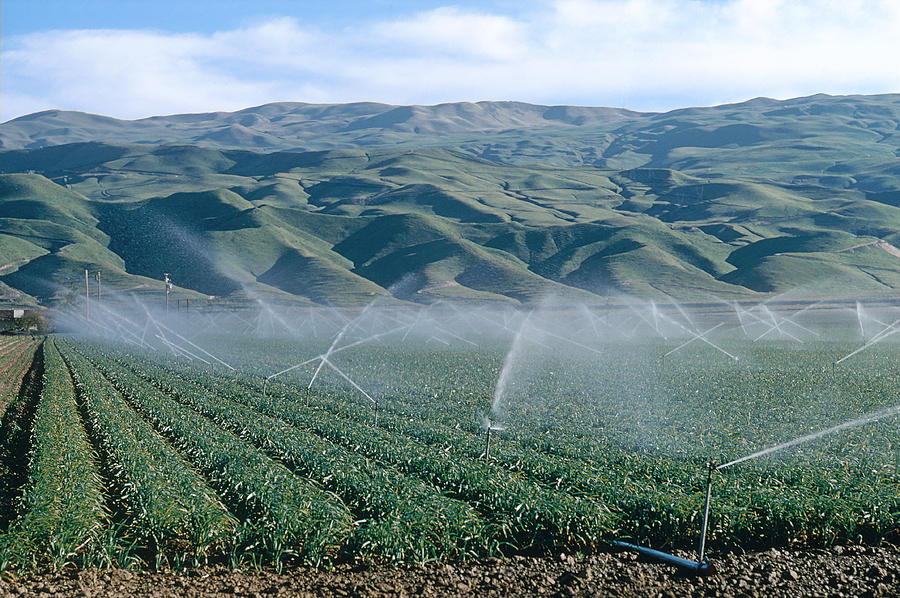 Irrigation Photograph by Jack Fields