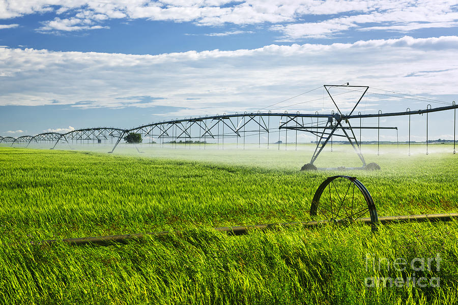 Nature Photograph - Irrigation on Saskatchewan farm by Elena Elisseeva
