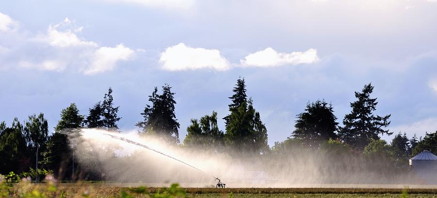 Irrigation Sprinkler 25159 Photograph
