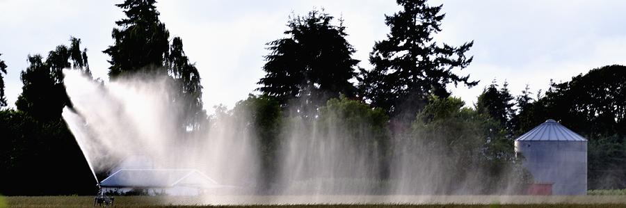 Irrigation Sprinkler 25183 Photograph