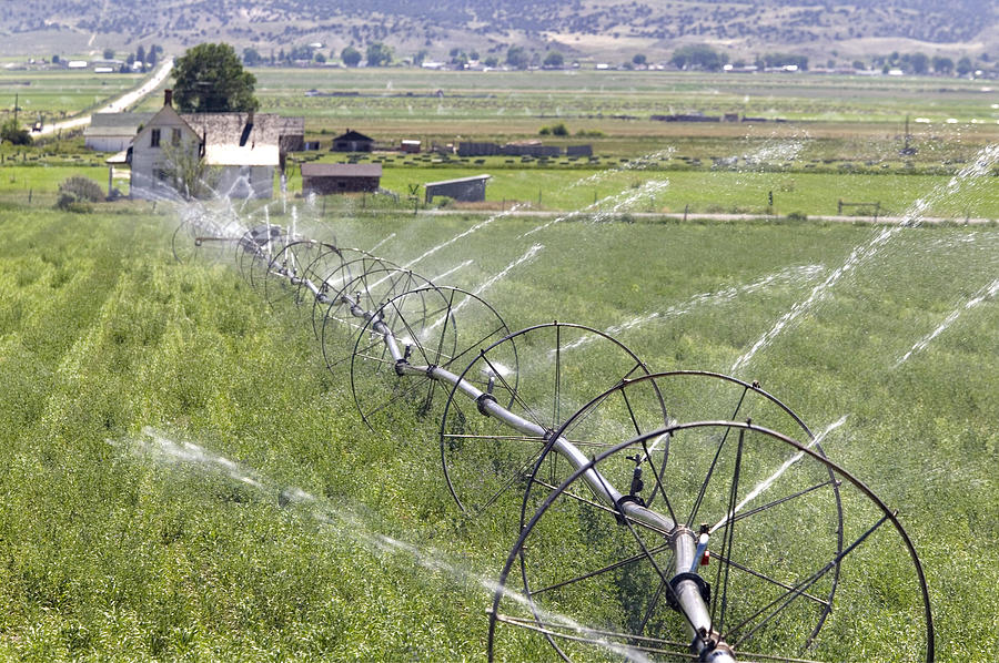 Irrigation Sprinkler System Photograph by Mark Harmel