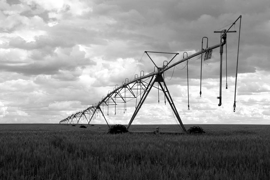 Irrigator Photograph by Daniel Woodrum