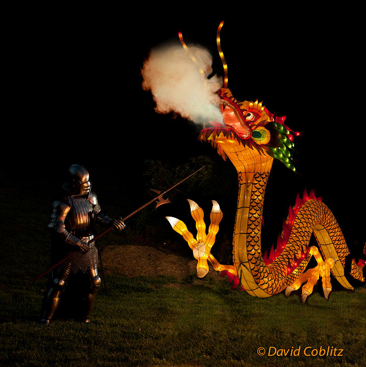 IRS dragon slayer Photograph by David Coblitz