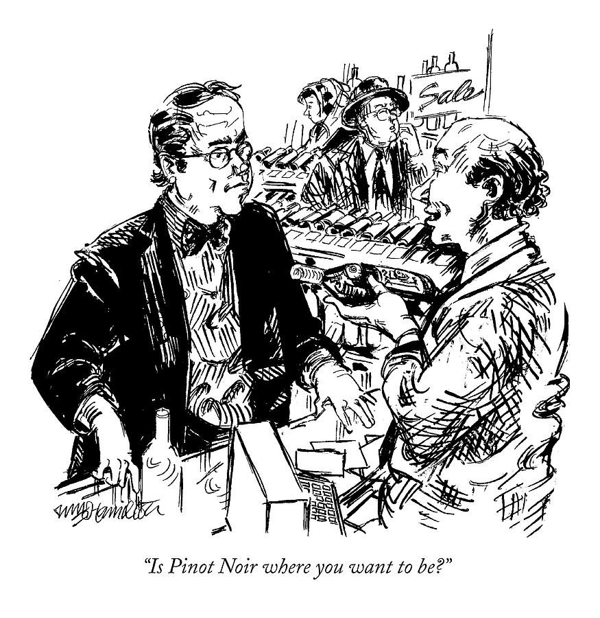 Is Pinot Noir Where You Want To Be? Drawing by William Hamilton Is Pinot Noir Where You Want To Be? Drawing by William Hamilton