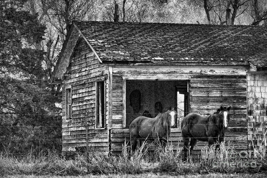 Is This Our Barn Photograph by Betty LaRue