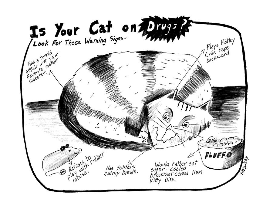 Is Your Cat On Drugs? 
Look For These Warning Drawing by Stephanie Skalisk