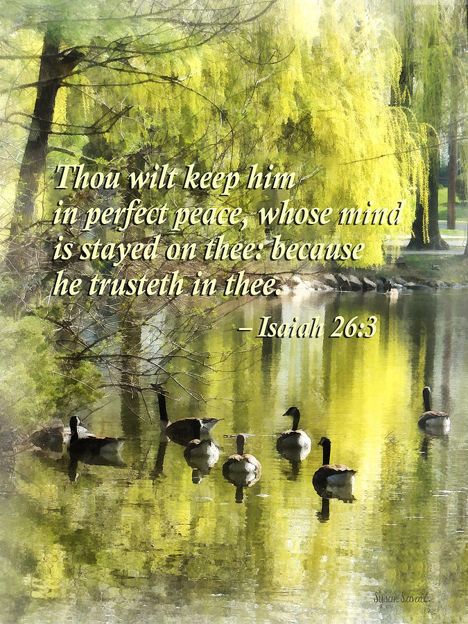 Isaiah 26 3 Thou Wilt Keep Him In Perfect Peace Photograph by Susan Savad