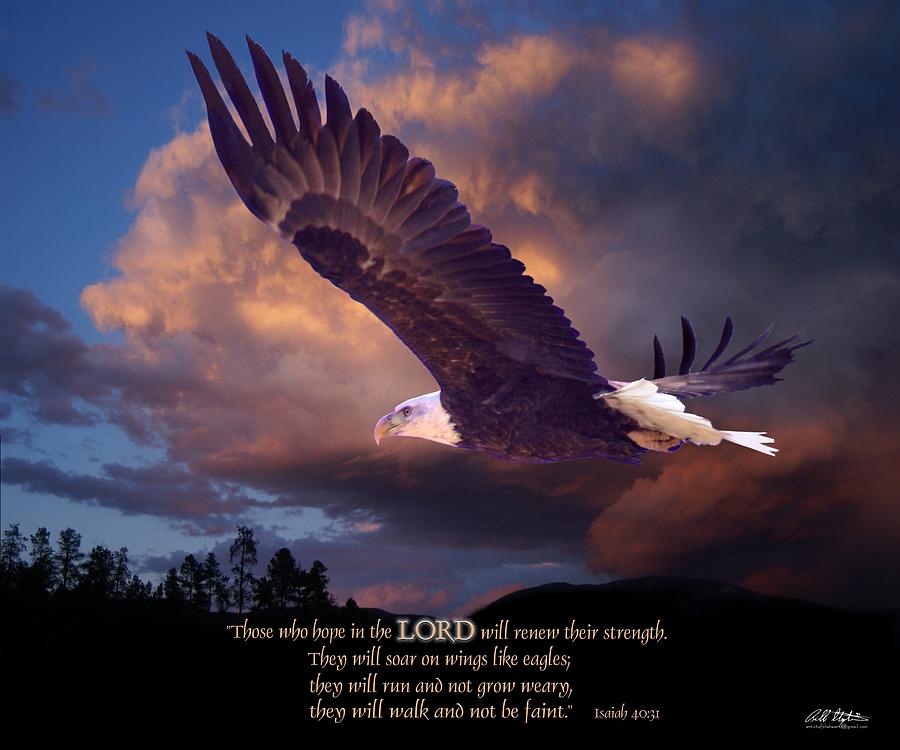 Isaiah 40 31 Digital Art by Bill Stephens