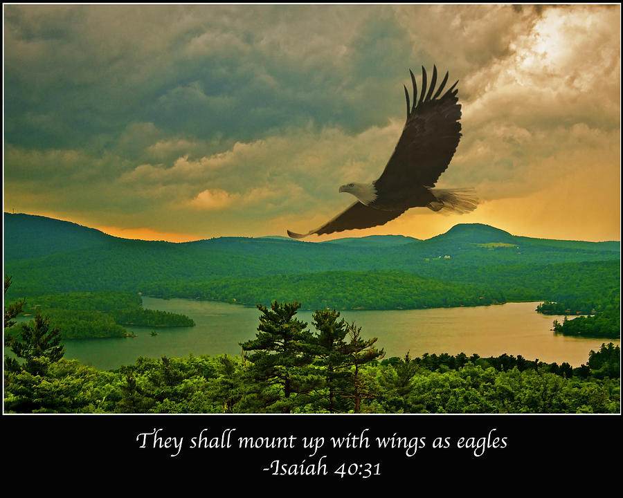 Eagle Photograph - Isaiah 40 31 by Mark Silk