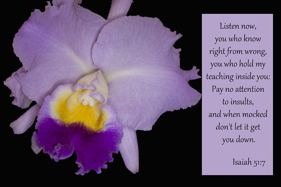 isaiah-51-7-photograph-by-inspirational-designs