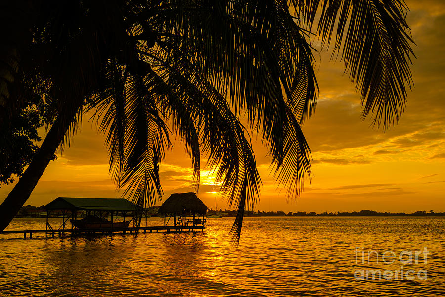 Isla Colon Sunset Photograph by Oscar Gutierrez