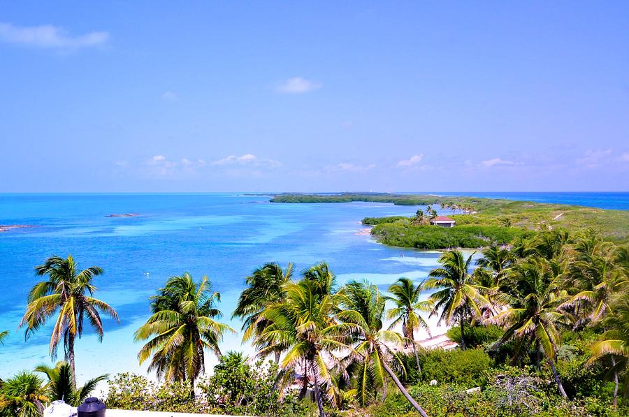 Isla Contoy 2 Photograph by Tony Garcia