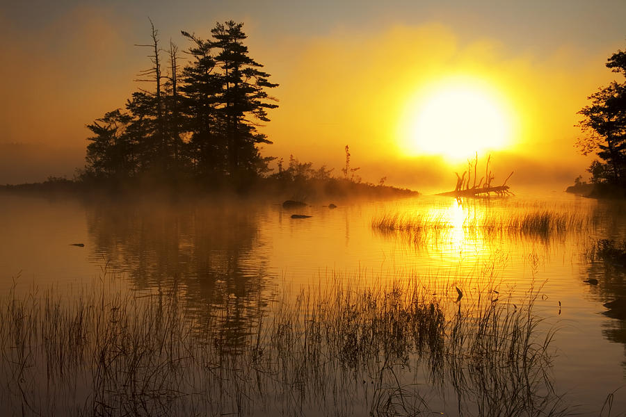 Landscape Photograph - Island And Misty Sunrise On by Irwin Barrett