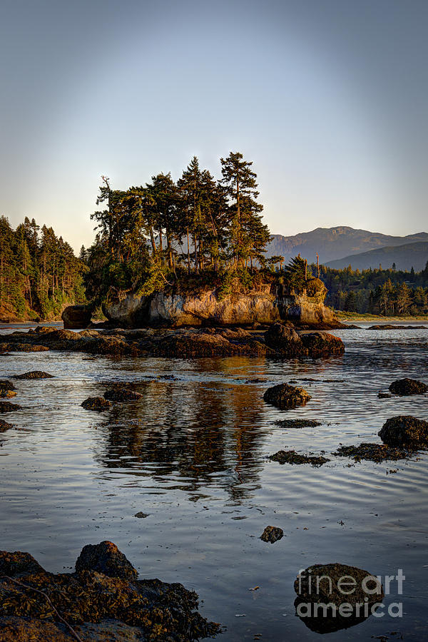 Island at Salt Creek by Sarah Schroder Island at Salt Creek by Sarah Schroder