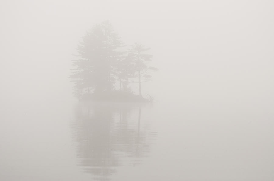Island in Fog Photograph by Donna Doherty