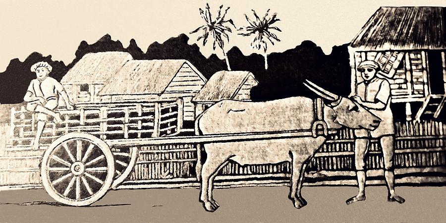 Island Life in 1898 Drawing by Walter B Townsend