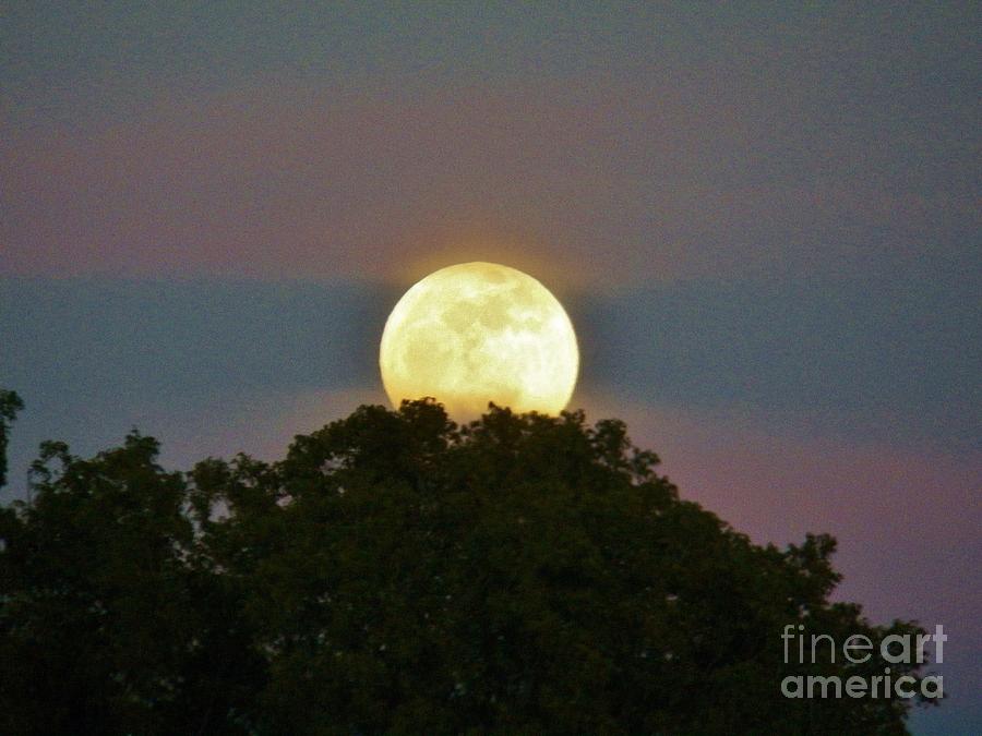 Island Moon 2 Photograph by Judy Via-Wolff