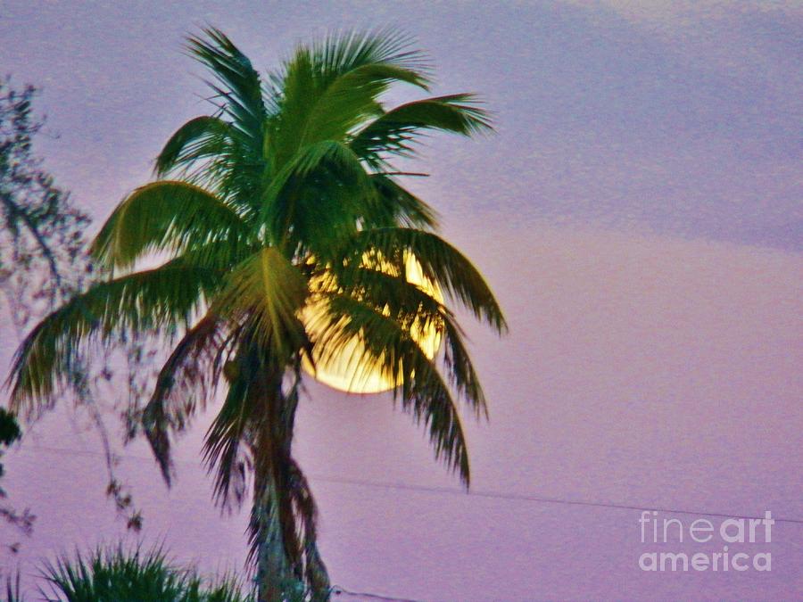 Island Moonrise 1 Photograph by Judy Via-Wolff