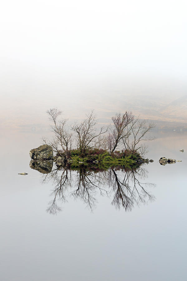 Island of Trees Reflection Photograph by Grant Glendinning