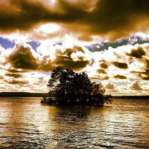 Tree Photograph - Island off of Stockholm  by Zach Roberts