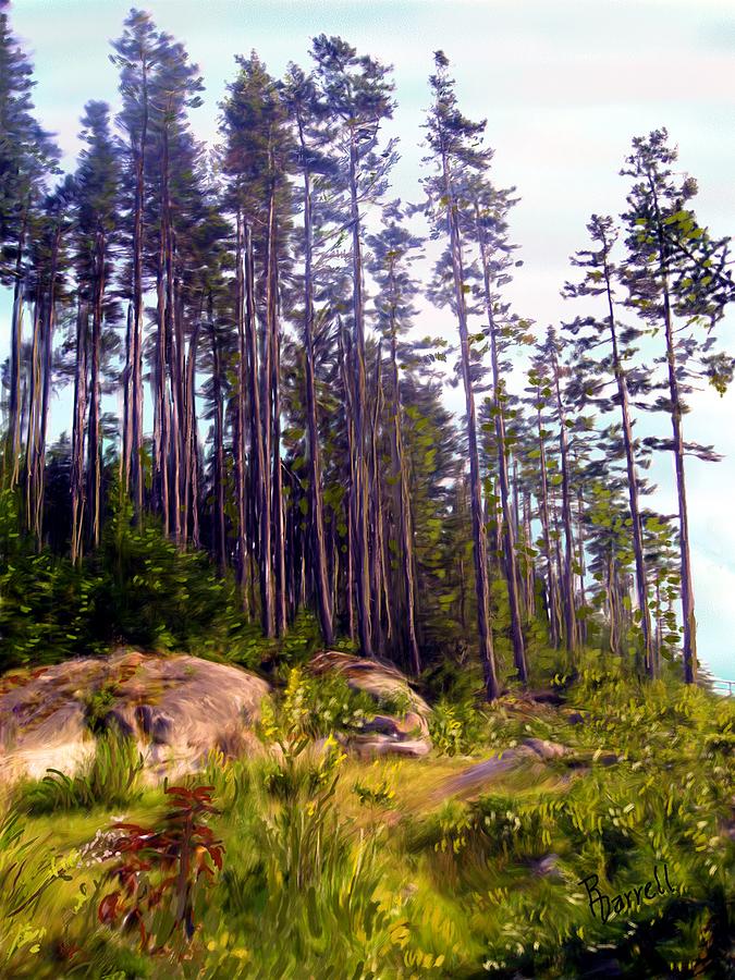 Landscape Digital Art - Island Pines by Ric Darrell