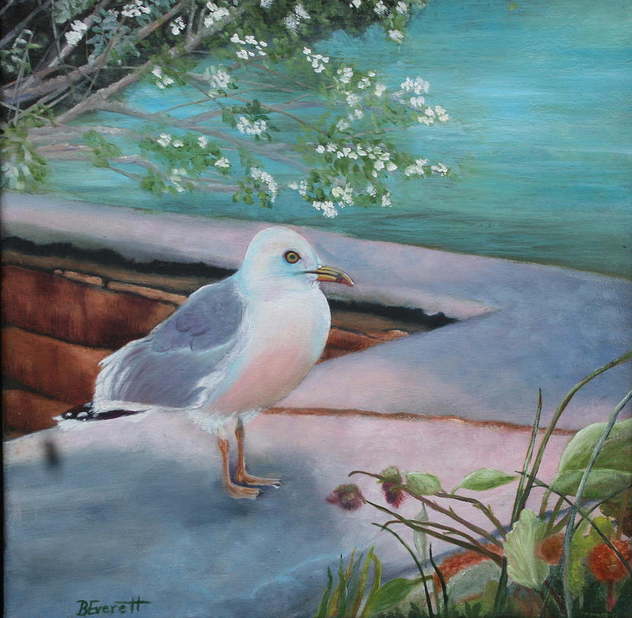 Wildlife Painting - Island Seagull by Brenda Everett