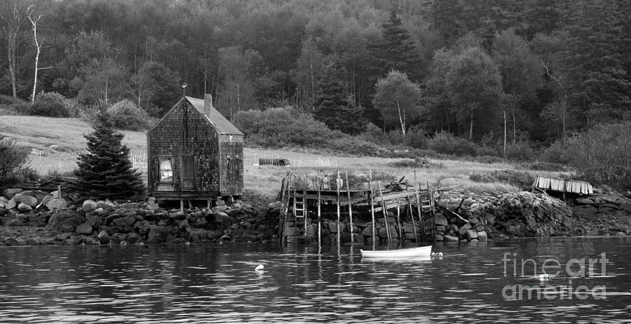 Island Shoreline in black and white Photograph by Glenn Gordon