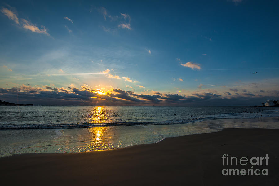 Coastal Beach Sunrise Photograph by Dale Powell